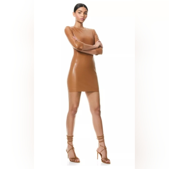 Alice + olivia inka leather mini dress Size 4 - Picture 9 of 16